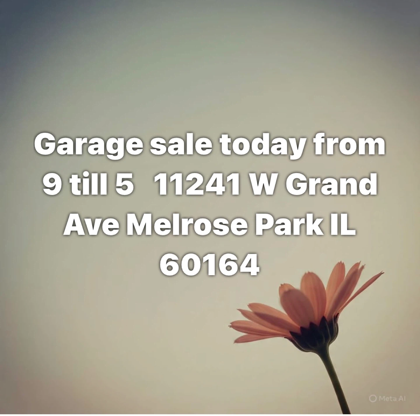Garage sale 11241 W Grand Avenue Melrose Park IL 60164