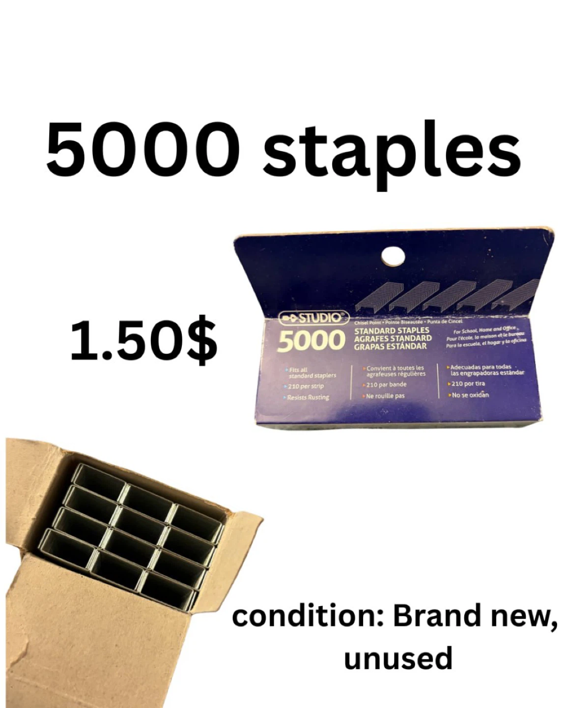 Studio 5000 Staples - photo 2