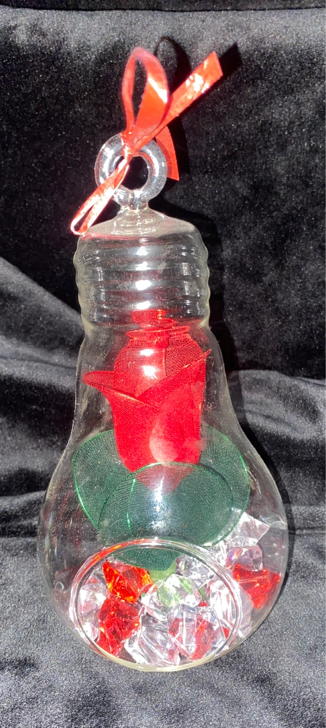 Matching Pair of Lightbulb Glass Terrarium Ornaments - photo 5