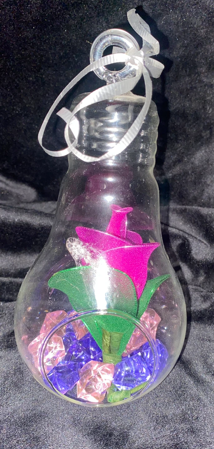 Matching Pair of Lightbulb Glass Terrarium Ornaments - photo 3