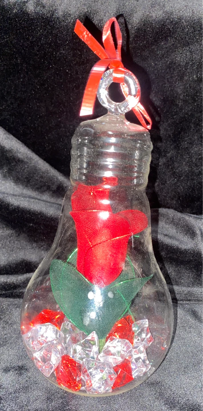 Matching Pair of Lightbulb Glass Terrarium Ornaments - photo 4