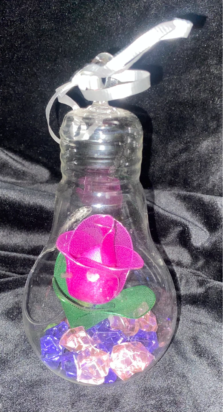 Matching Pair of Lightbulb Glass Terrarium Ornaments - photo 2