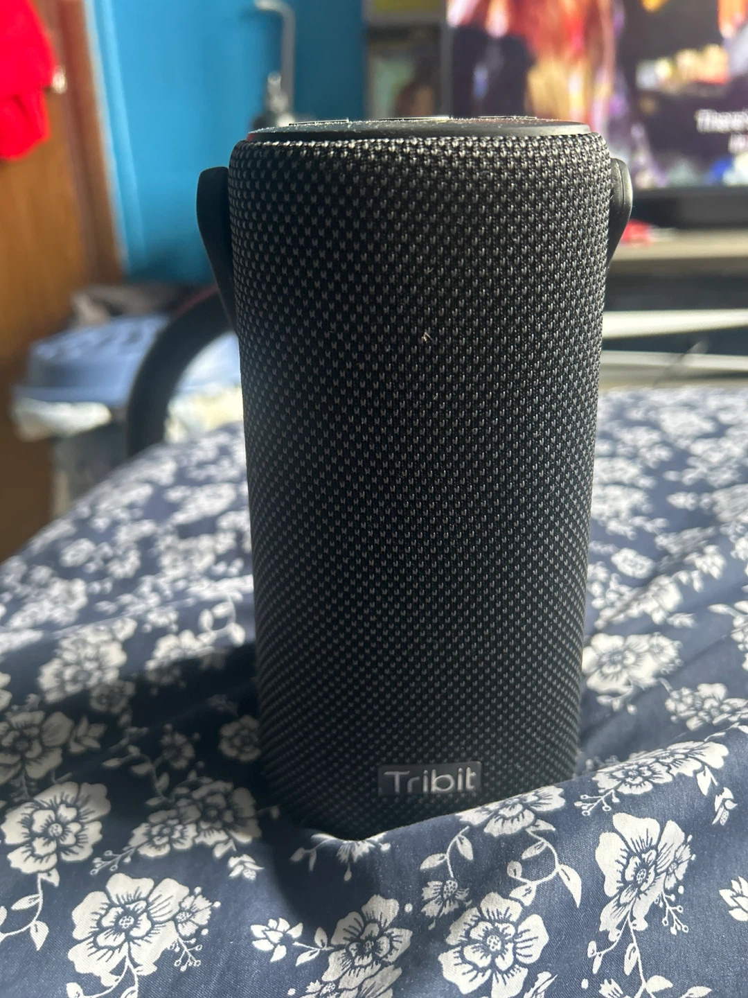 Tribit StormBox Pro Portable Bluetooth Speaker