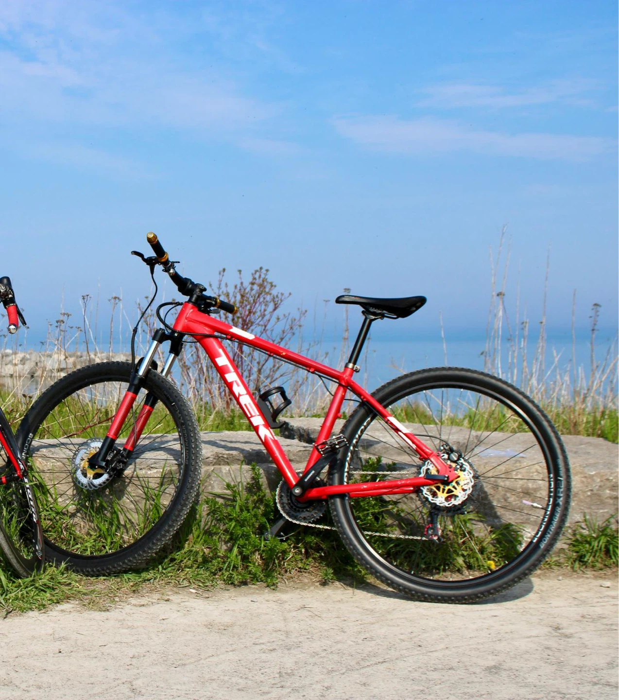 🚴 Trek Marlin Mountain Bike – Only $300! - photo 2