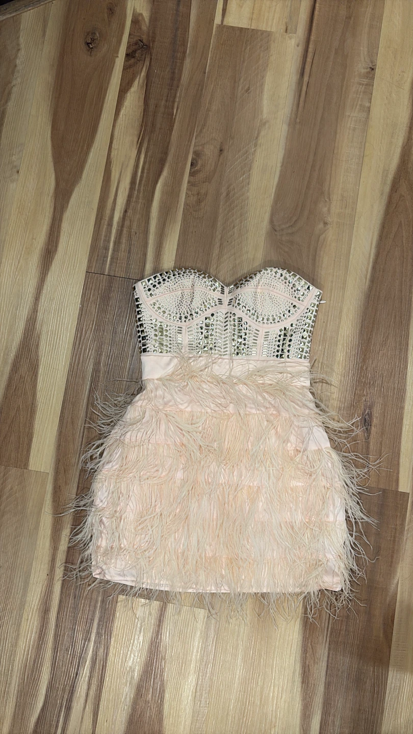 Strapless Feather and Embellished Mini Dress