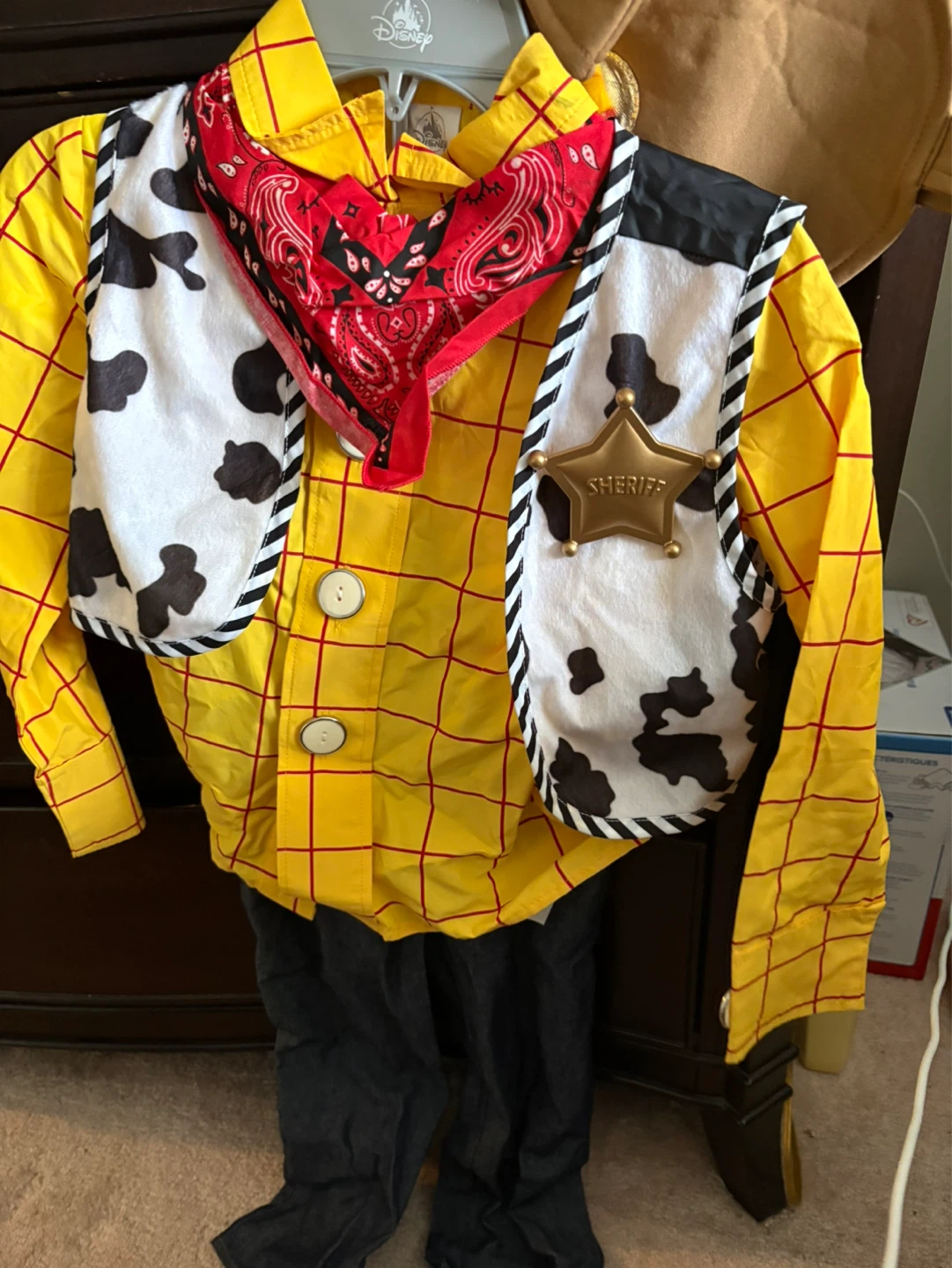 Woody Costume for Kids