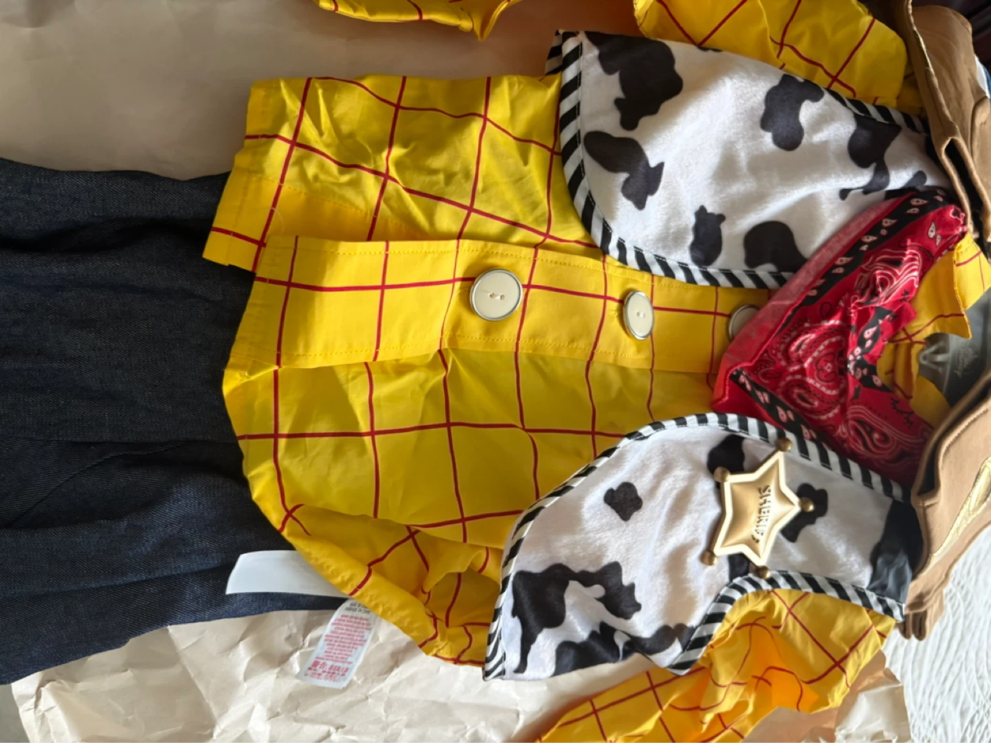 Woody Costume for Kids - photo 2