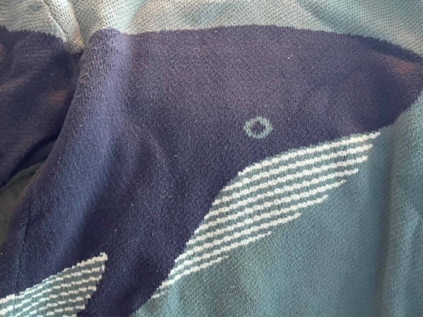 Unisex Large Aelfric Eden Whale Graphic Knit Sweater