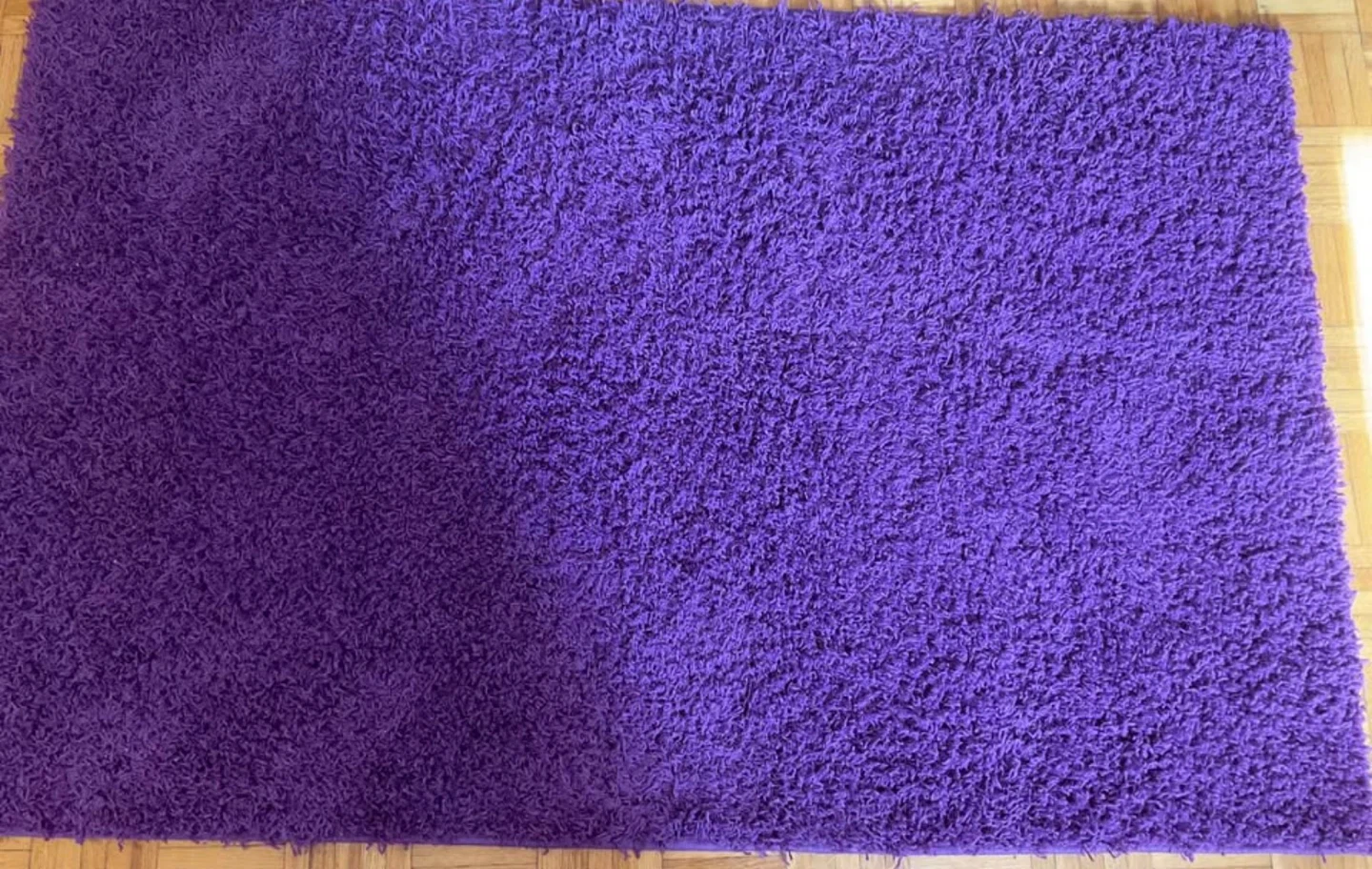 Purple Shaggy Area Rug