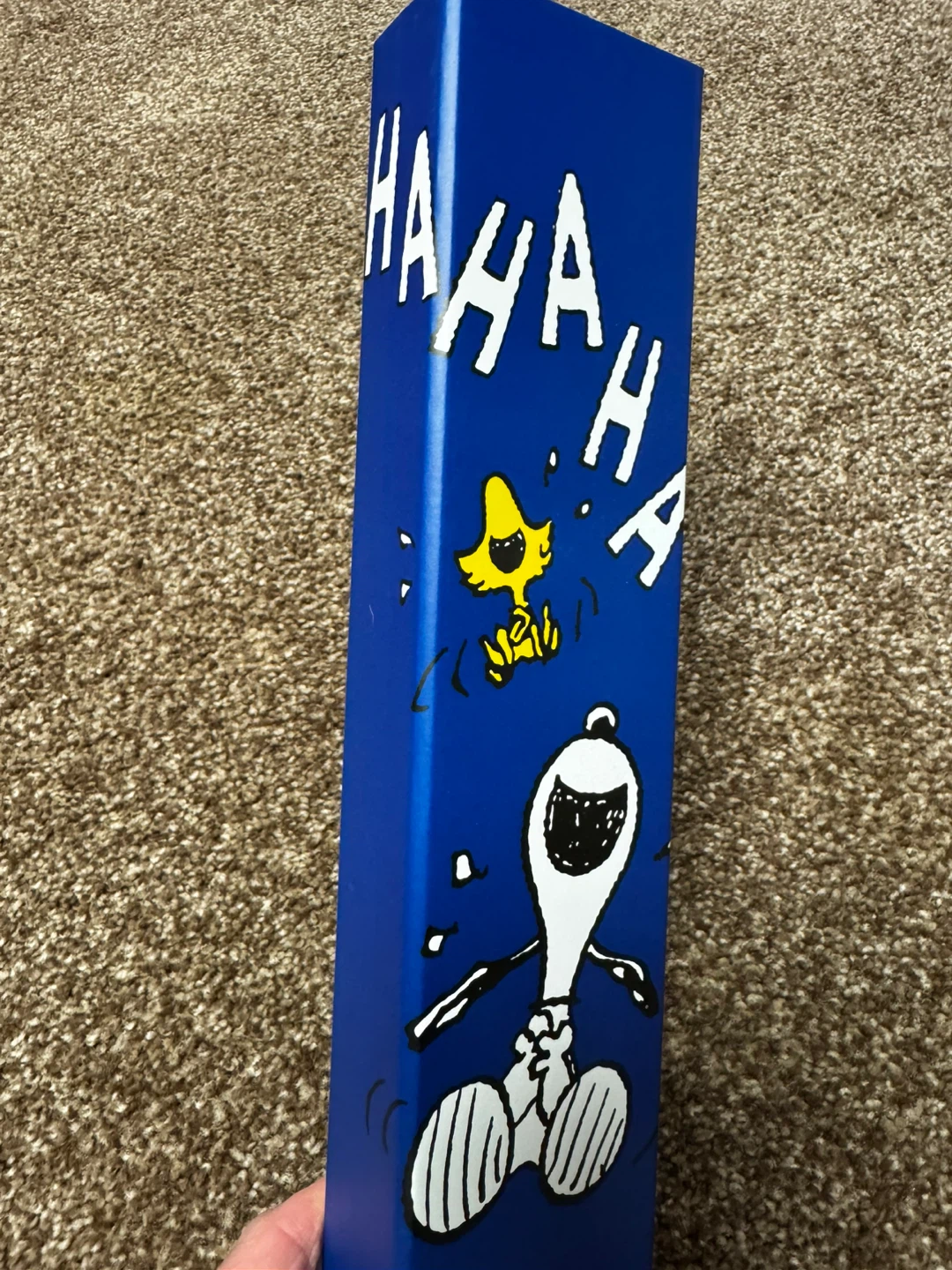 For the Snoopy Collector … swatch x peanuts.    Watch