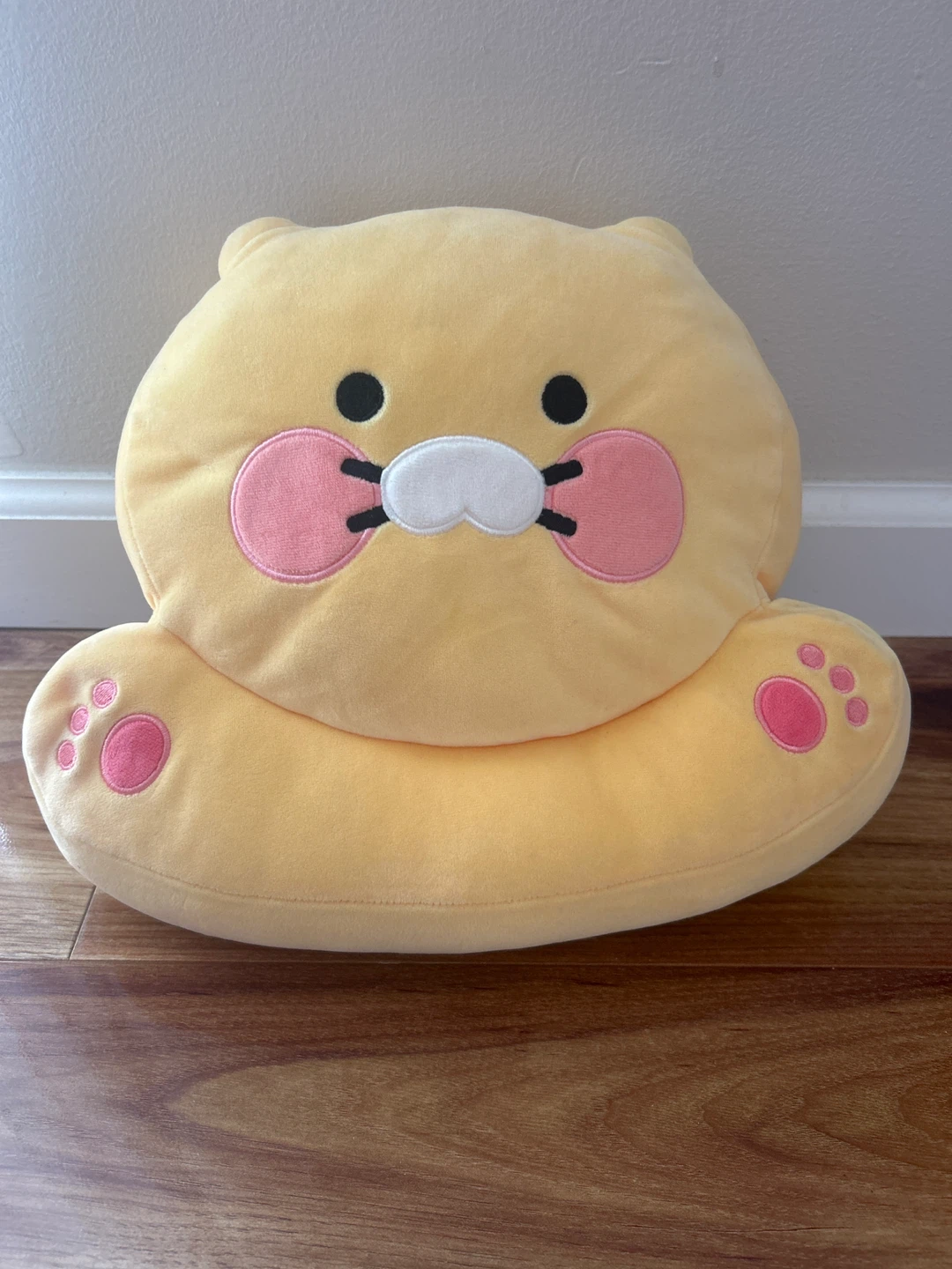 Kakao friends cushion from Korea