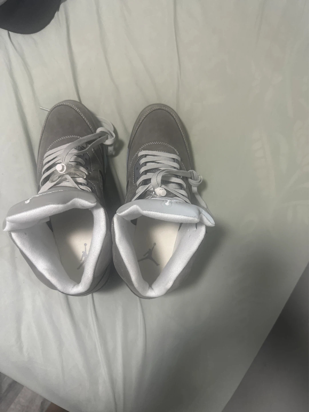 Wolf Grey 5s