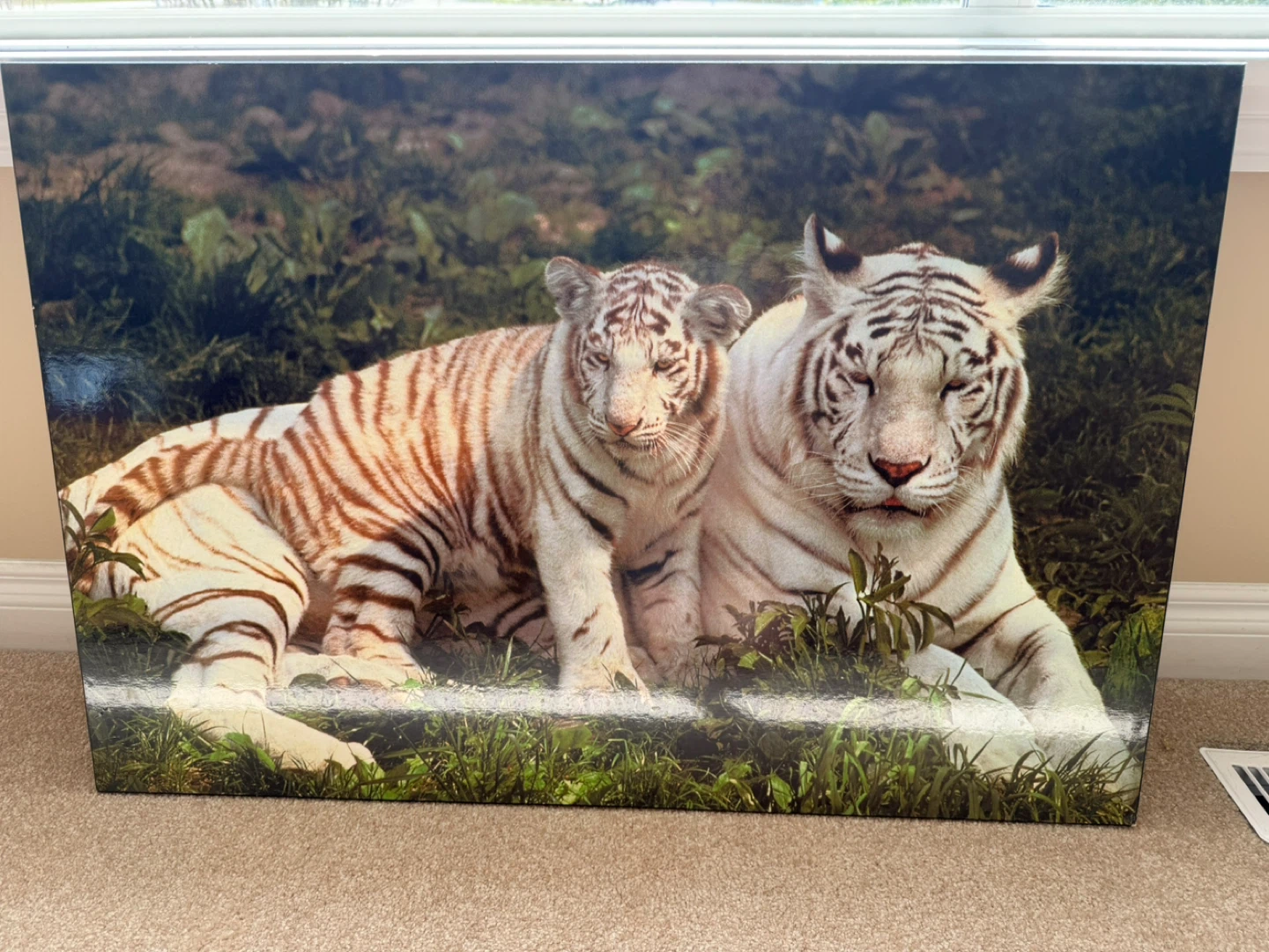 Canvas Print - White Tiger Mother and Cub - photo 2