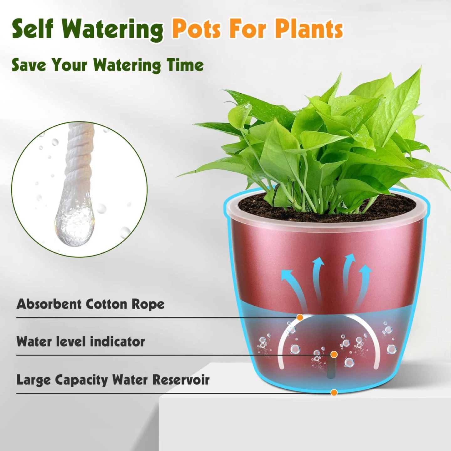 1 NEW Self Watering Pot - photo 4