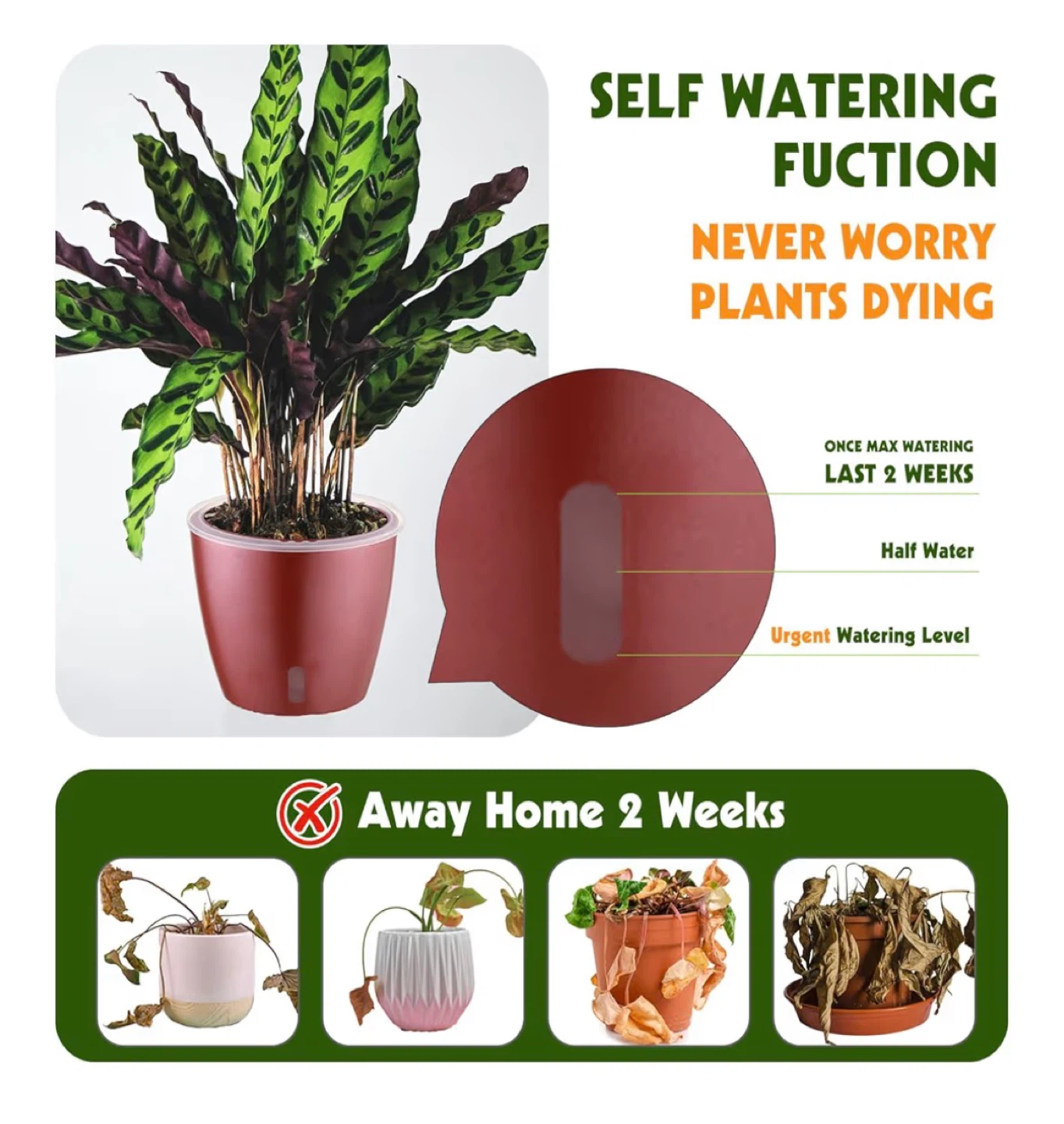 1 NEW Self Watering Pot - photo 5