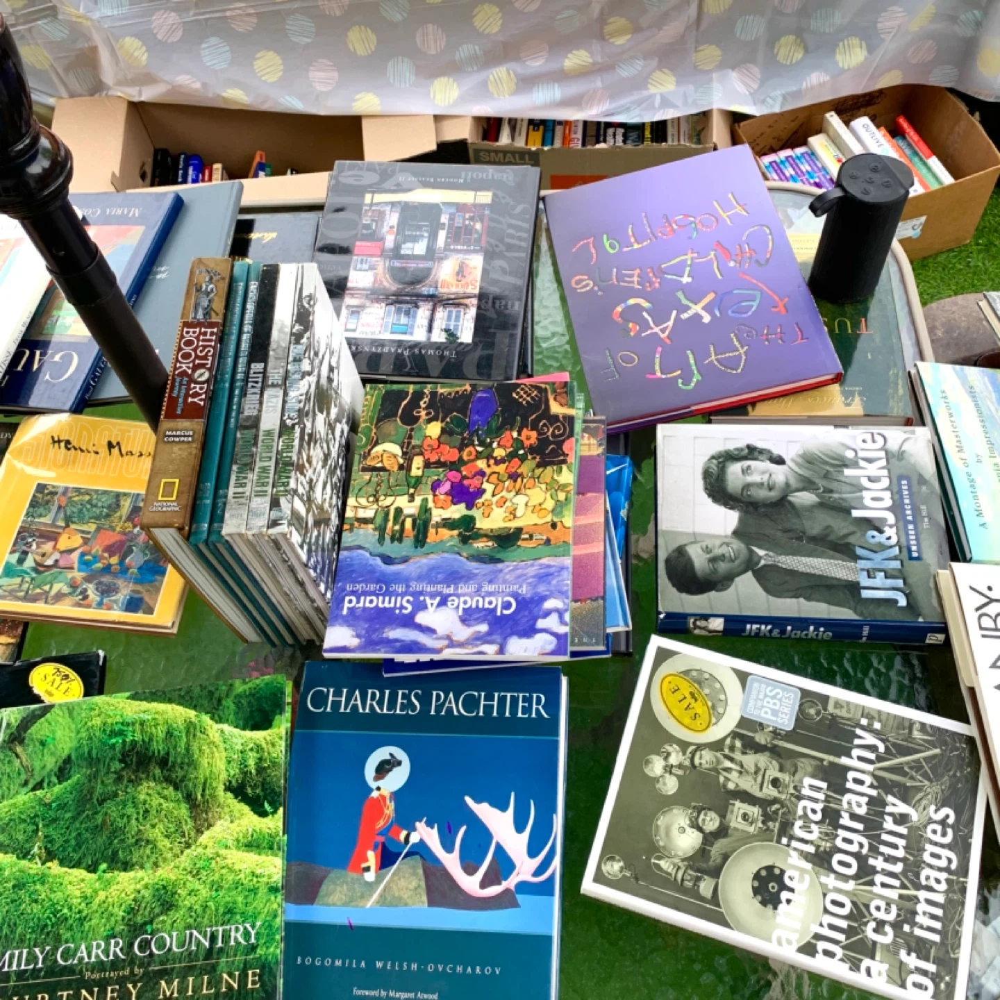 Art Books Photography Books History Books Hardcover Book Lot - photo 4