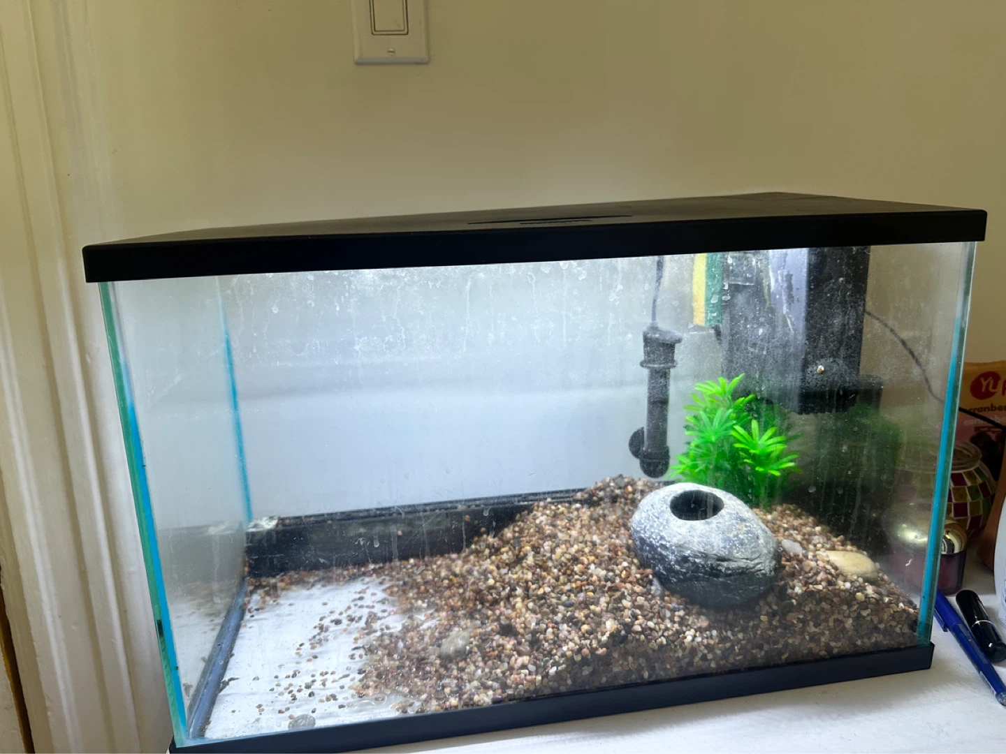 Fish Tank with Filter and Light 10 gallons - photo 3