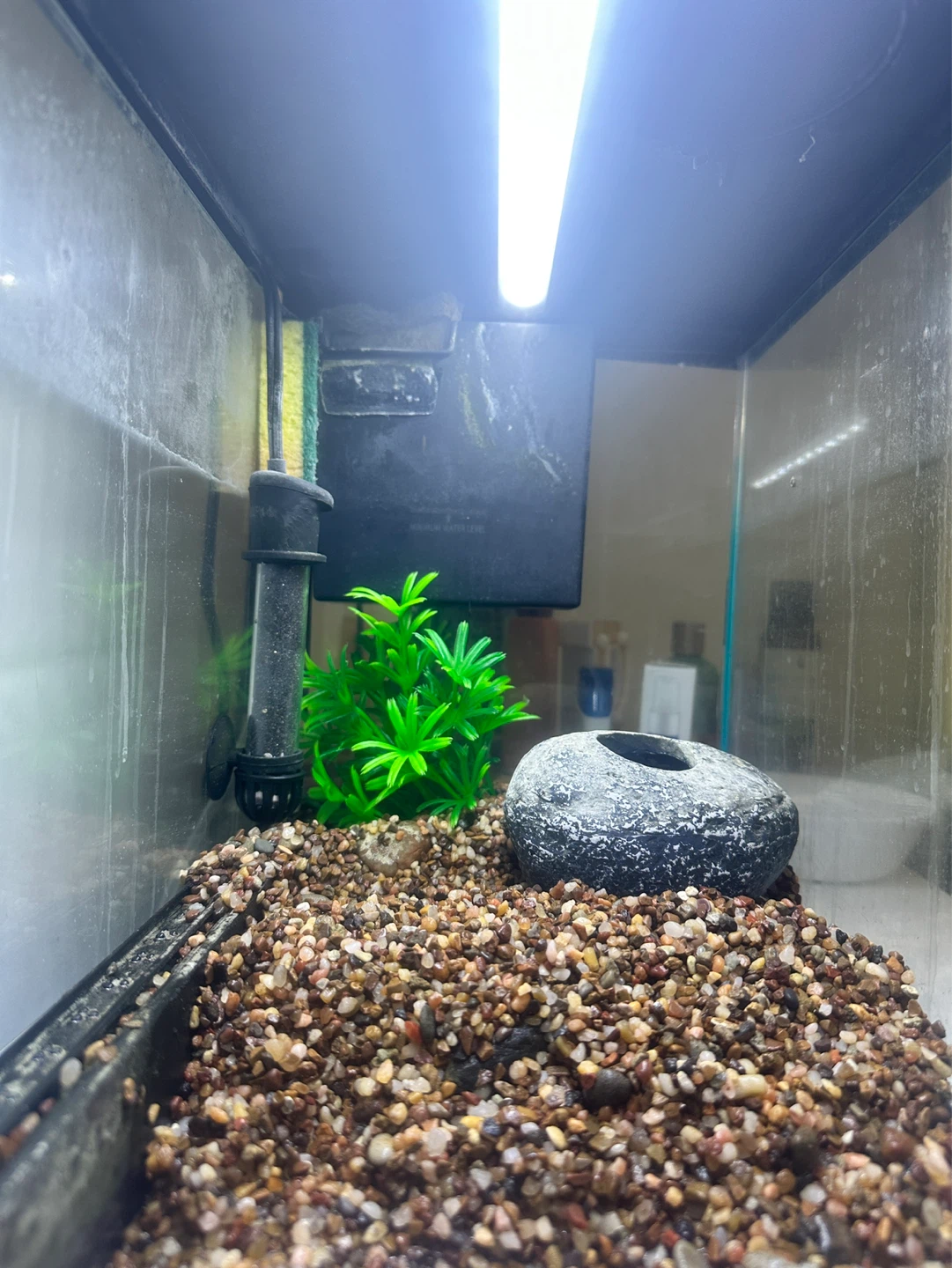 Fish Tank with Filter and Light 10 gallons - photo 2