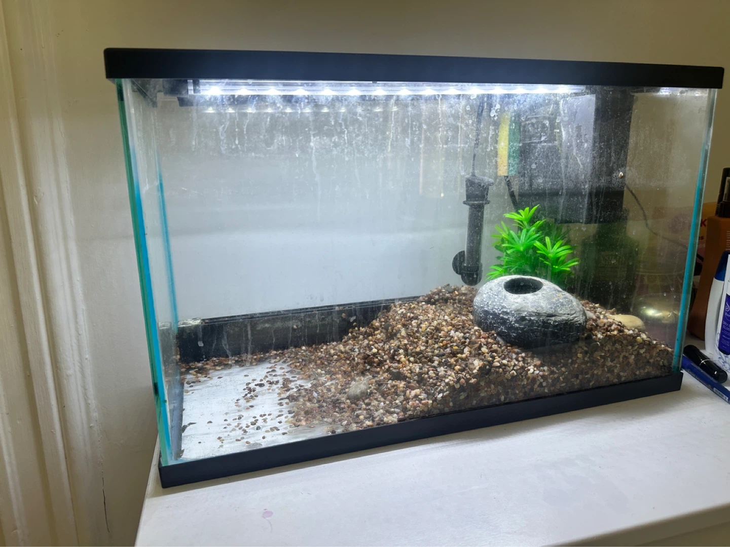 Fish Tank with Filter and Light 10 gallons
