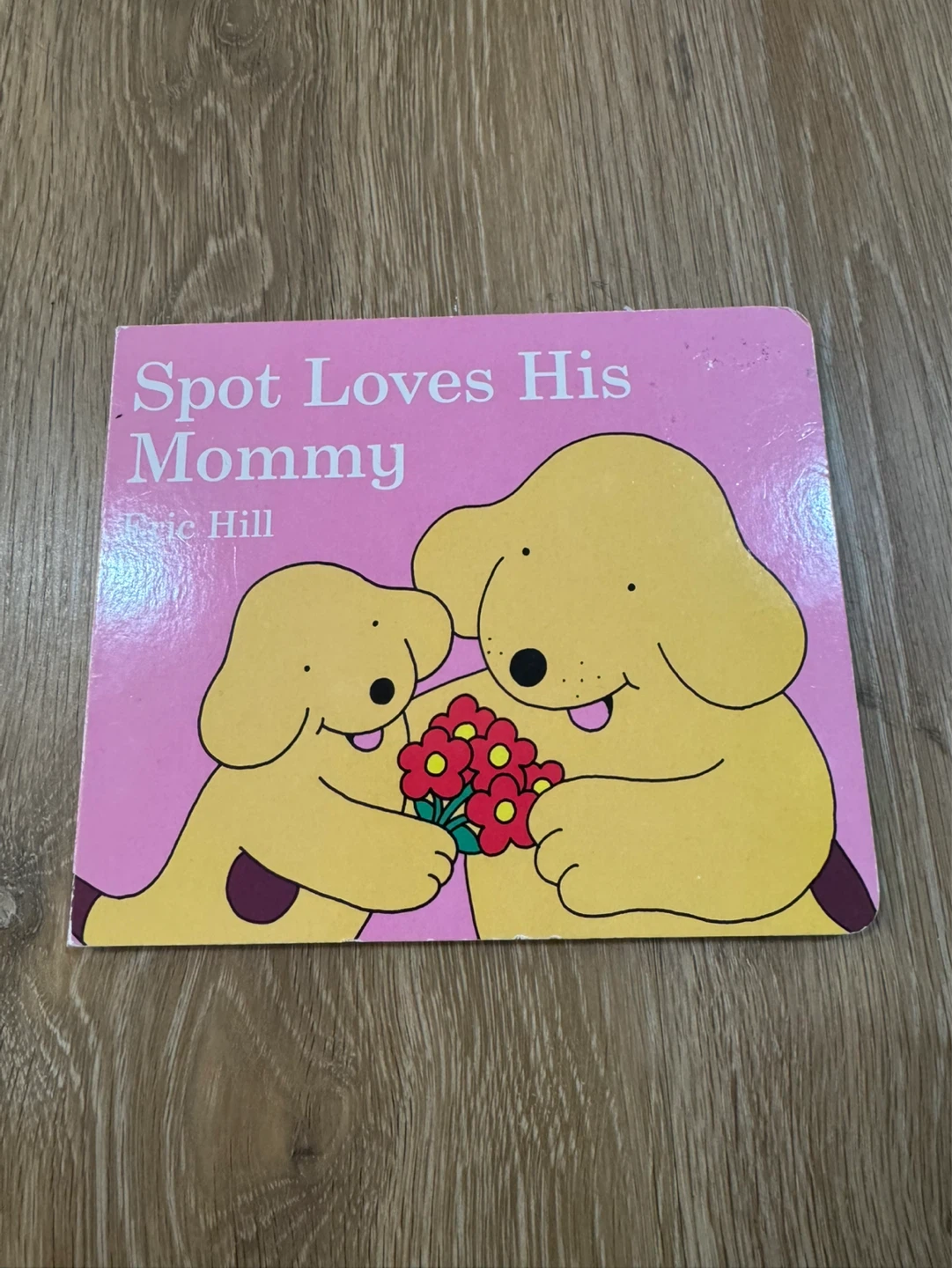 Find Spot Books - 3 Books - photo 3