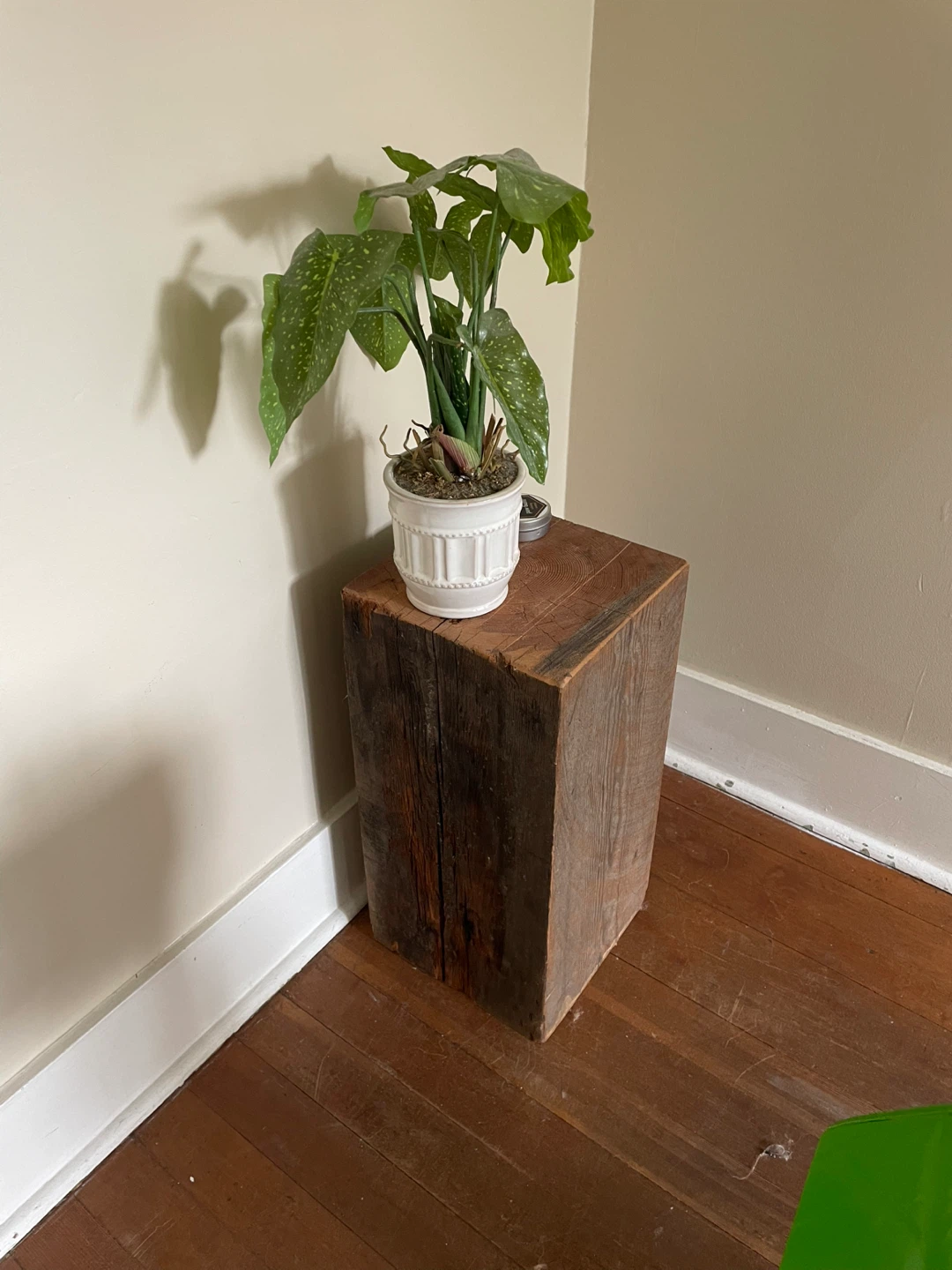 Solid Wood Block for Plant - photo 2