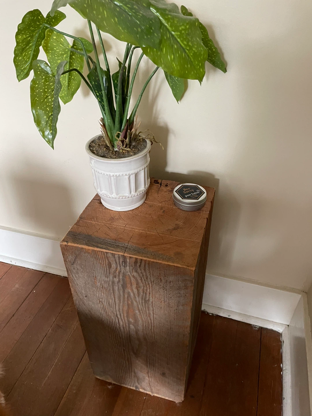 Solid Wood Block for Plant