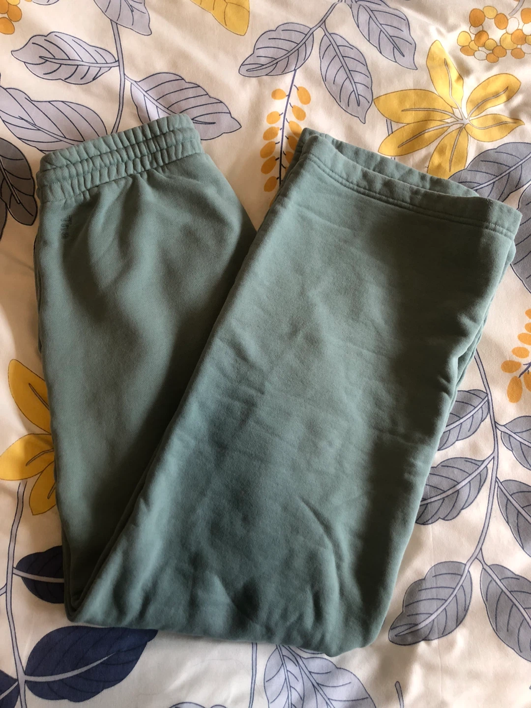 Aritzia TNA CozyAF Sweatpants