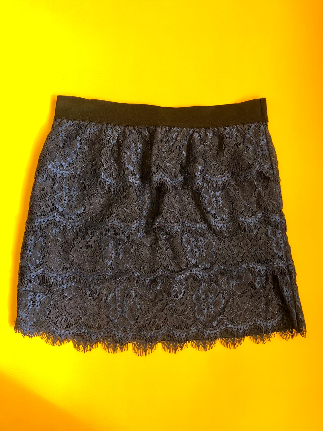 Banana Republic Mermaid Lace Scallop Skirt