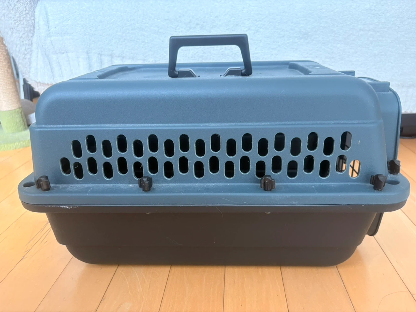 Grreat Choice Pet Carrier