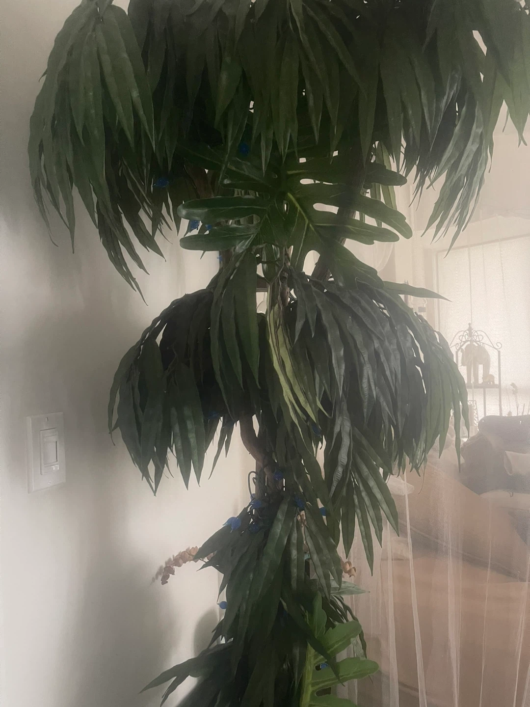 Large Tropical Houseplant