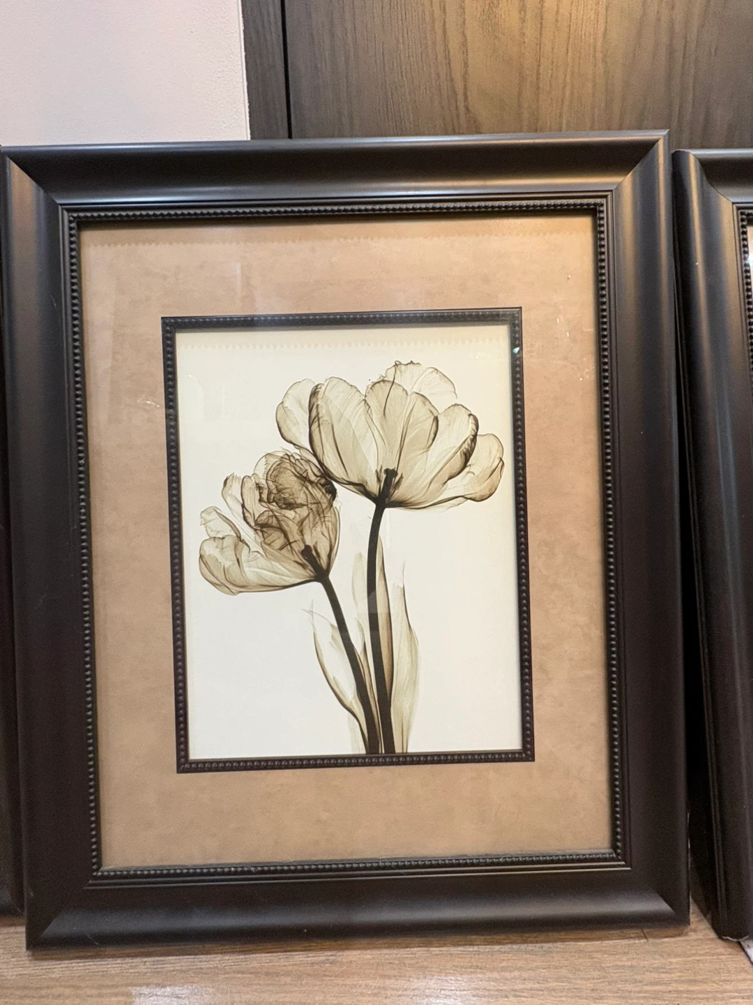 4 Framed Tulip X-Ray Art Prints