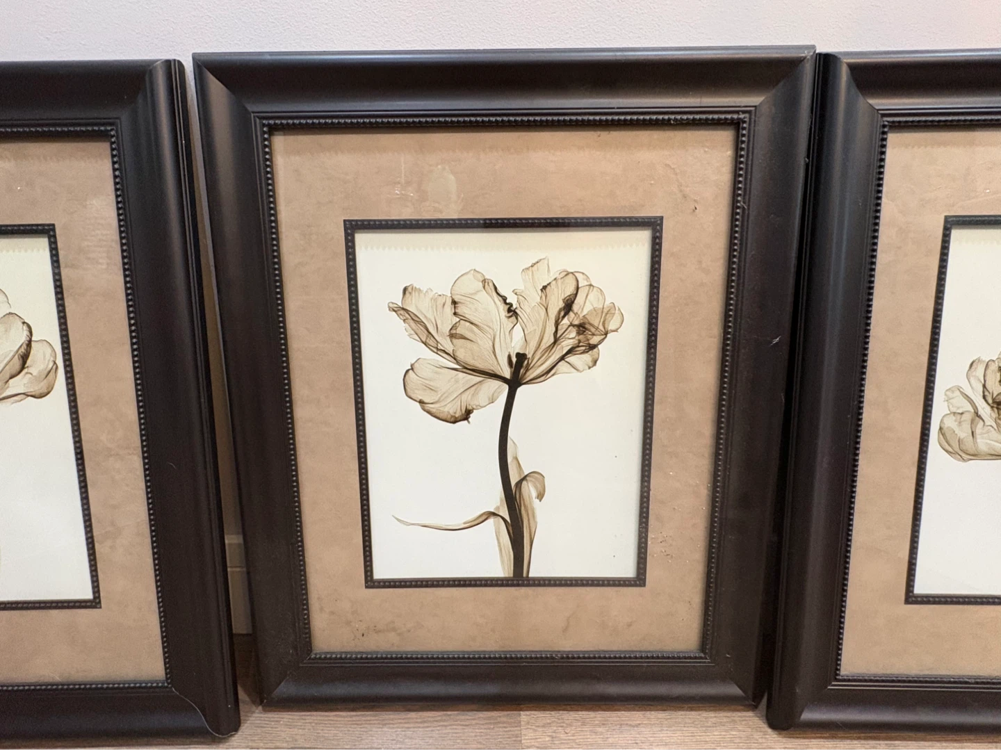 4 Framed Tulip X-Ray Art Prints - photo 4