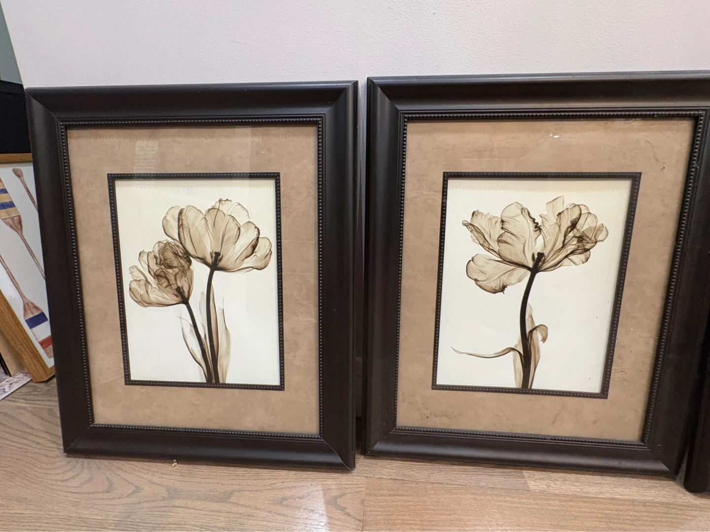 4 Framed Tulip X-Ray Art Prints - photo 3
