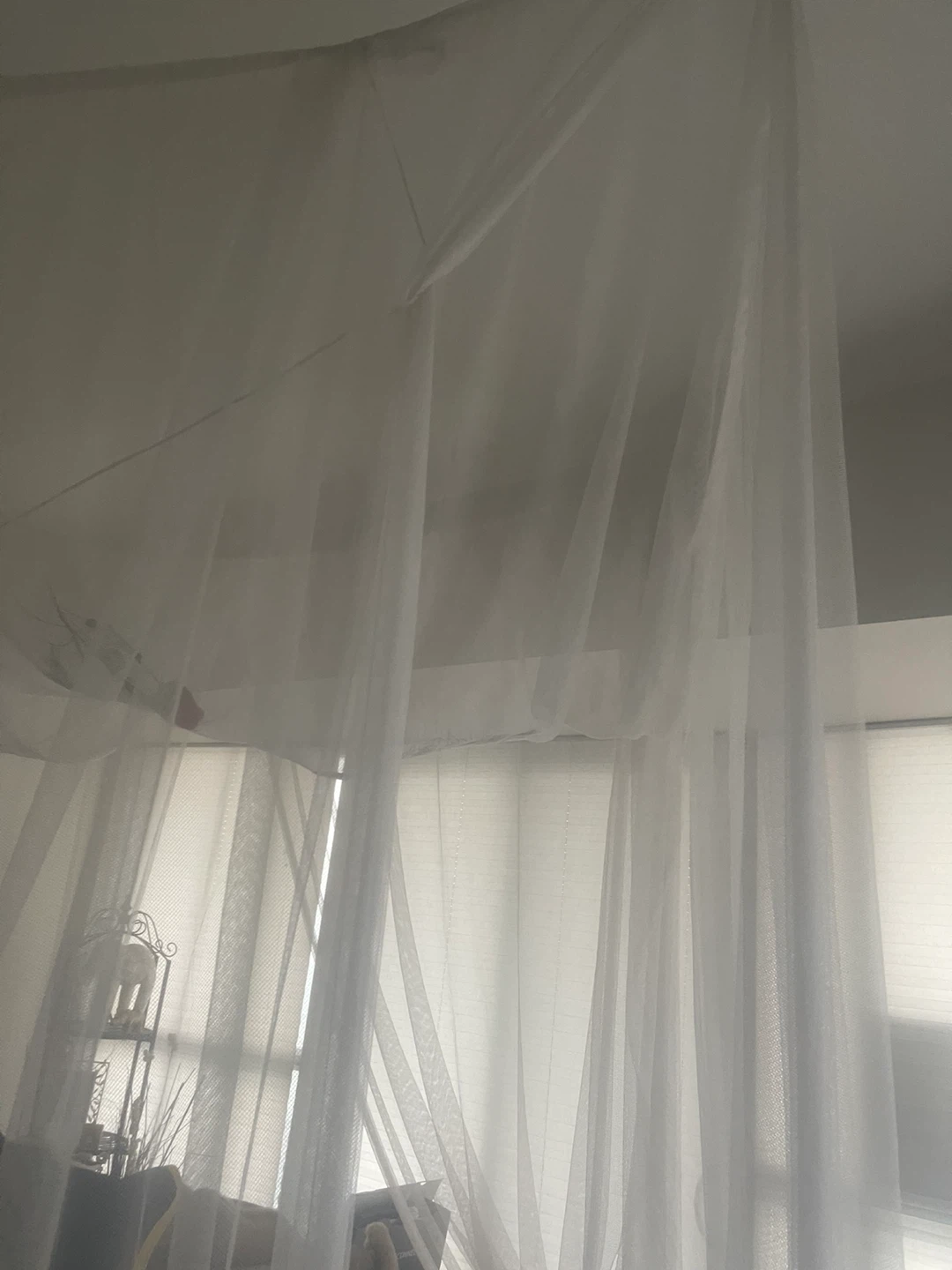 White Tulle Canopy