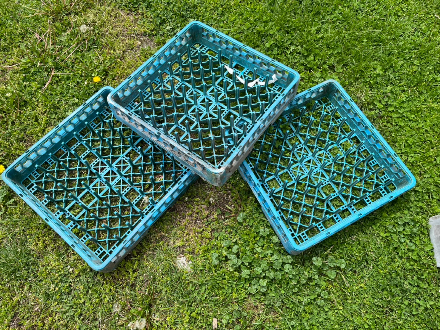Blue Peg Dish Racks ~ Grey Peg Dish Racks ~ Glassware Dish Racks - photo 3
