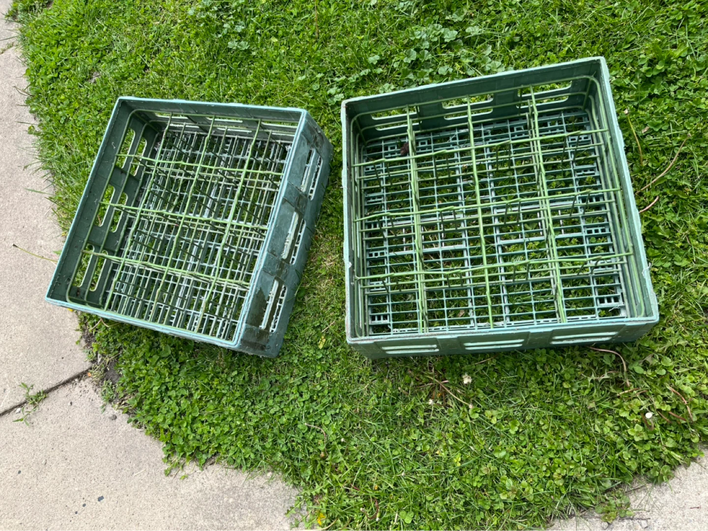 Blue Peg Dish Racks ~ Grey Peg Dish Racks ~ Glassware Dish Racks - photo 5