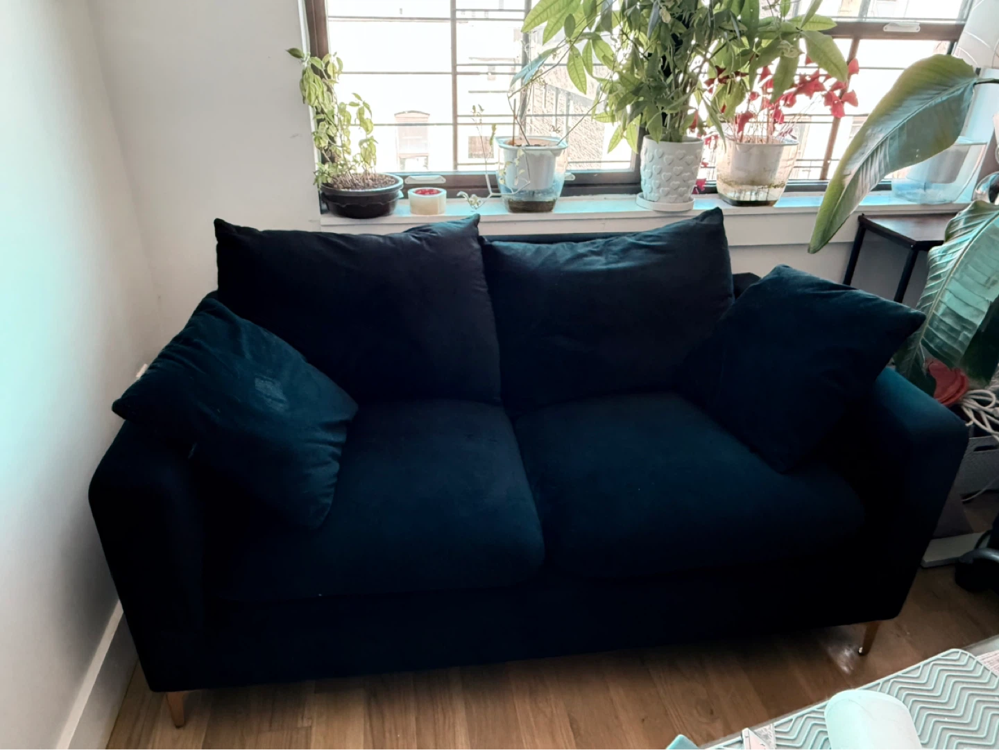 Black Velvet Loveseat
