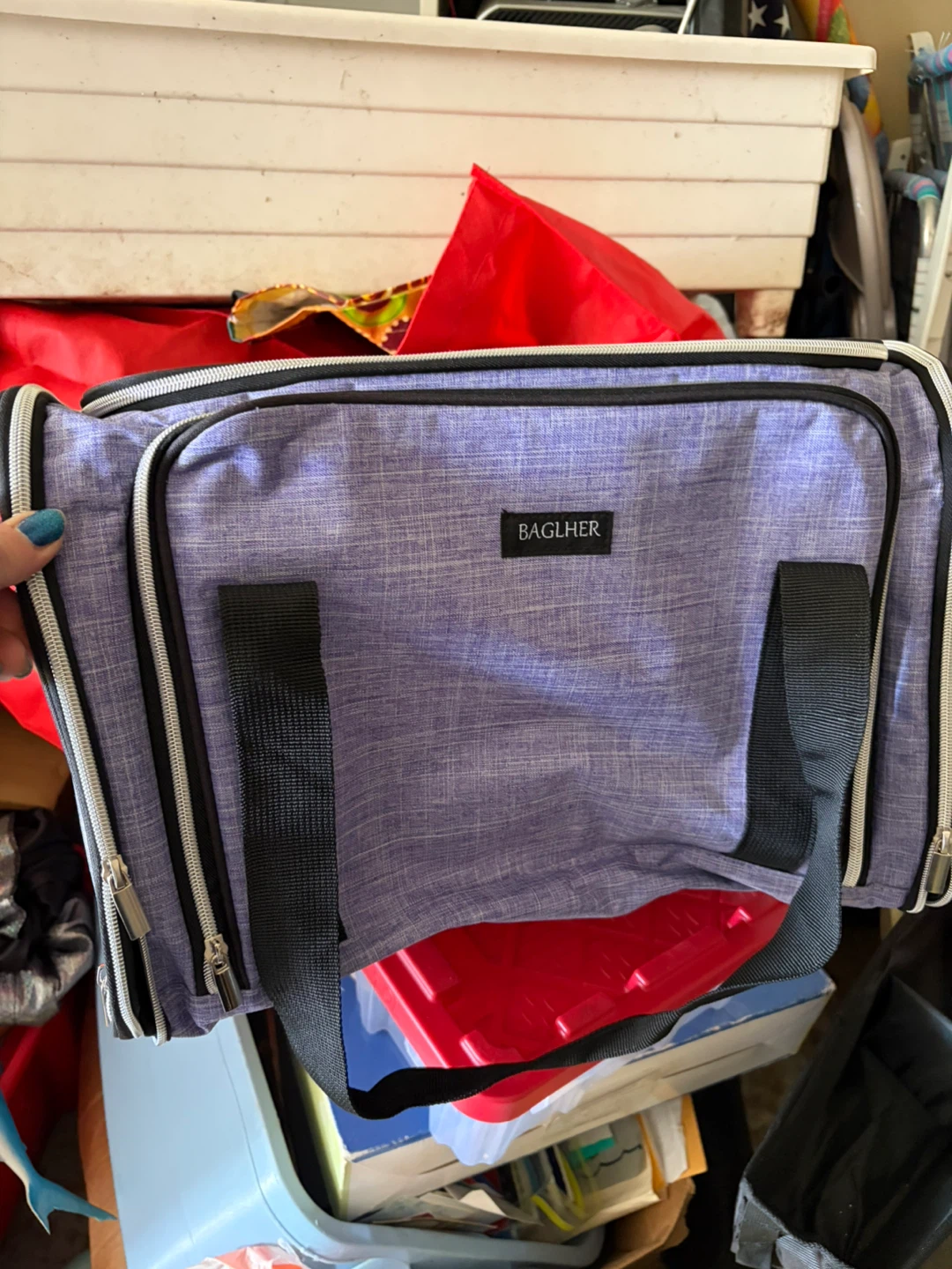 BAGLHER Purple Insulated Lunch Bag