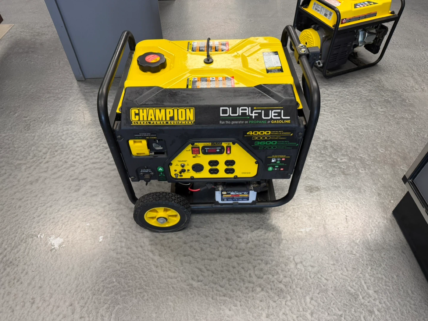 Champion Dual Fuel Generator 4000 Starting Watts - photo 3