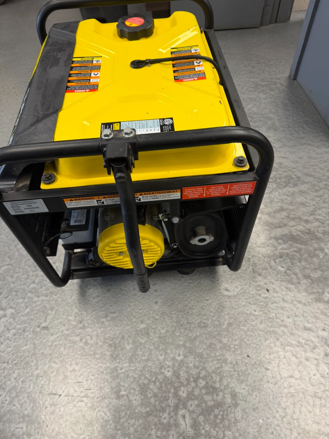 Champion Dual Fuel Generator 4000 Starting Watts - photo 5