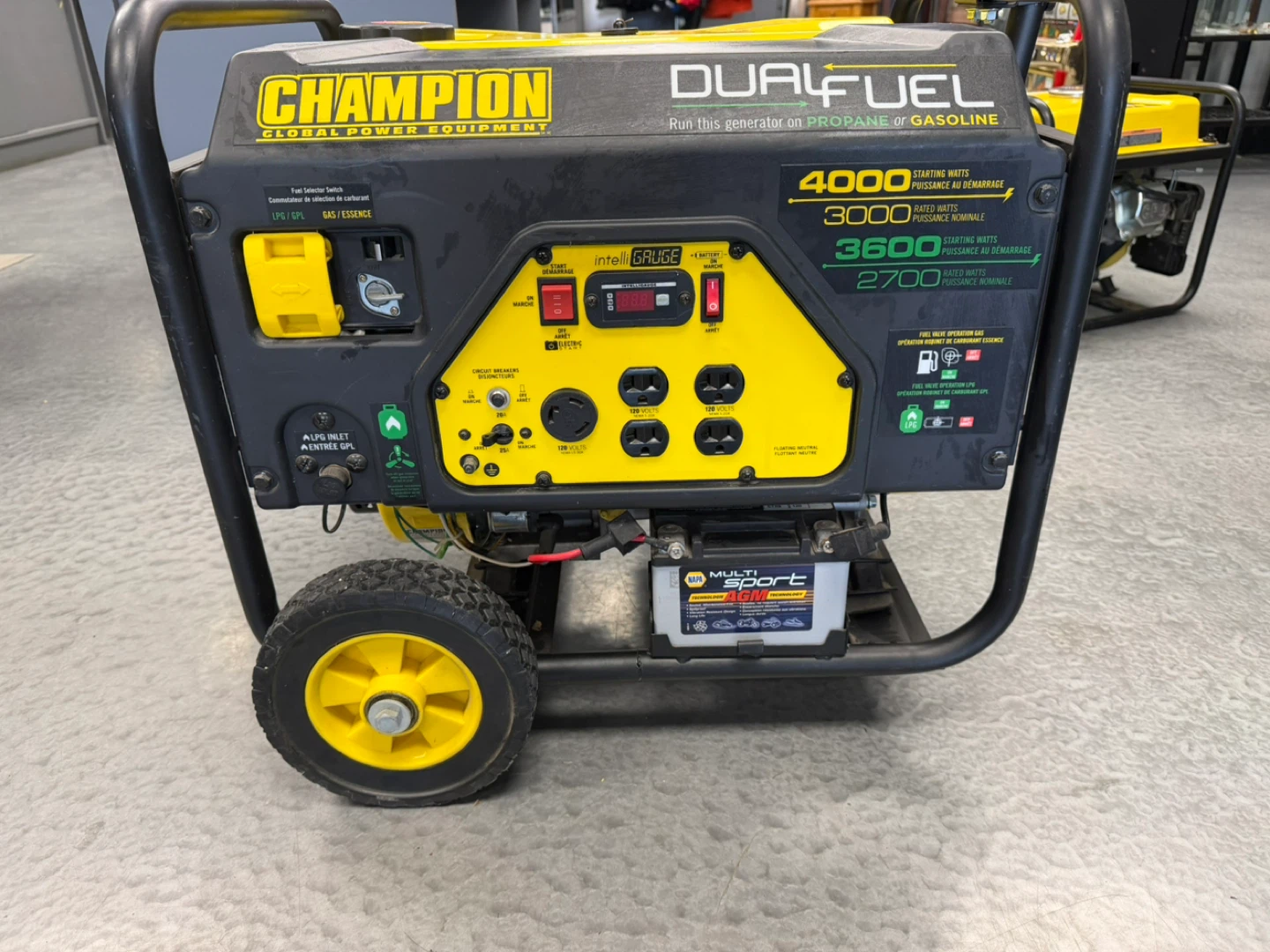 Champion Dual Fuel Generator 4000 Starting Watts - photo 2