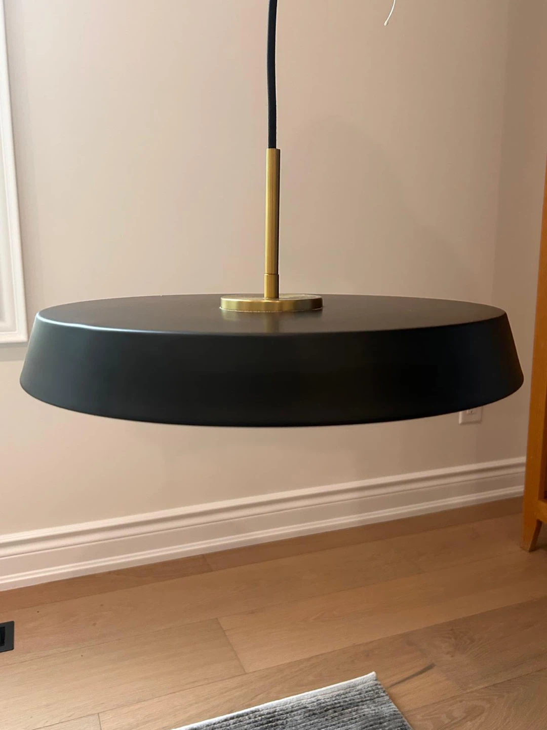 Black Pendant Light Fixture with Brass Accents - photo 2