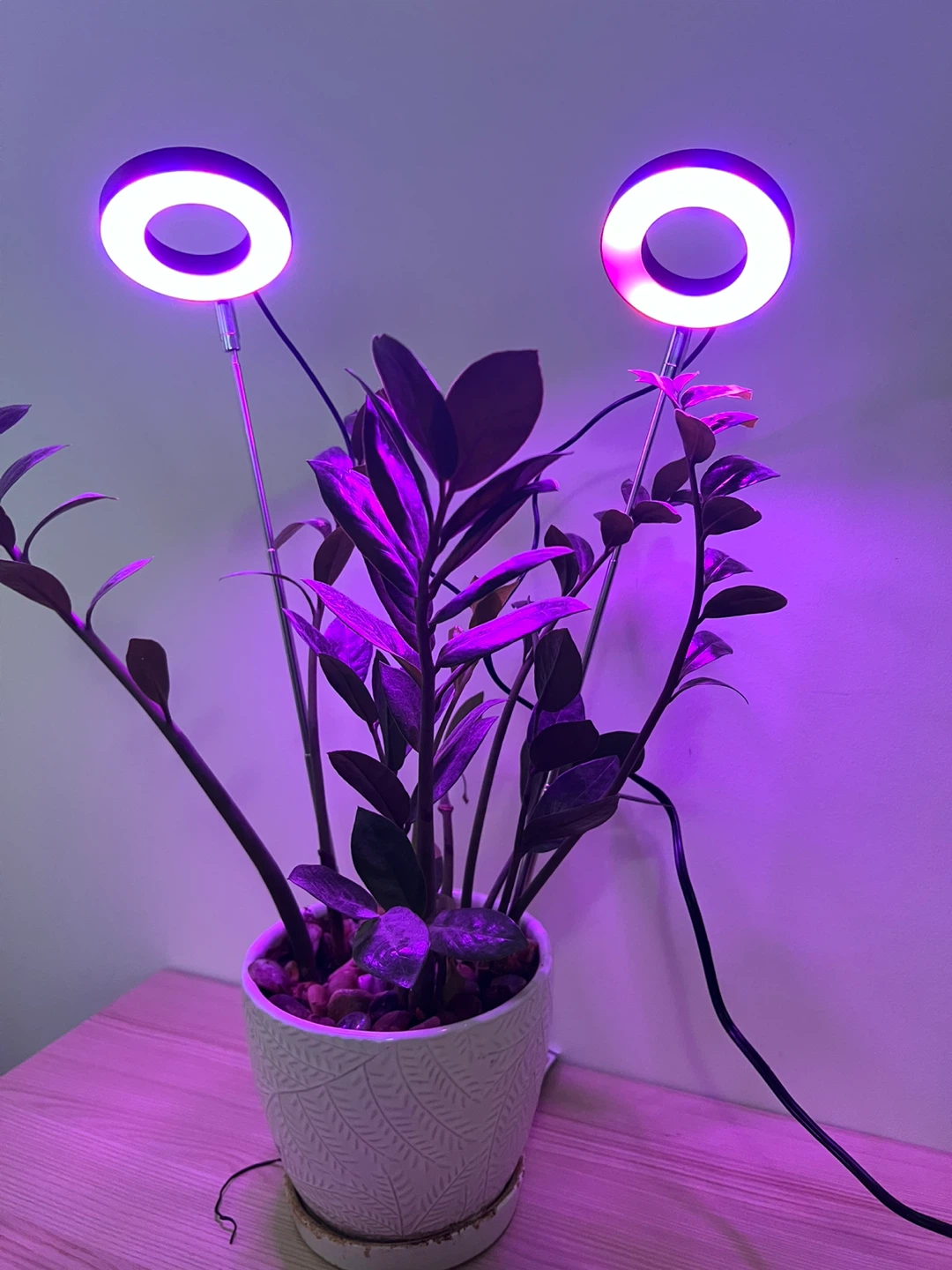 LED Full Spectrum Grow Light - photo 2