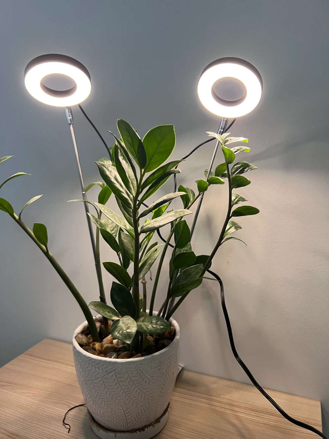LED Full Spectrum Grow Light