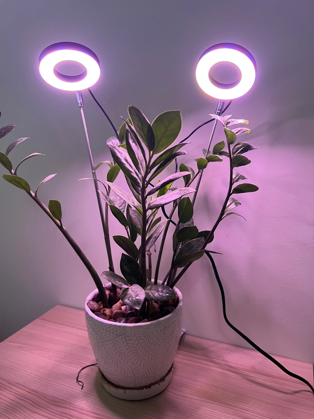 LED Full Spectrum Grow Light - photo 3