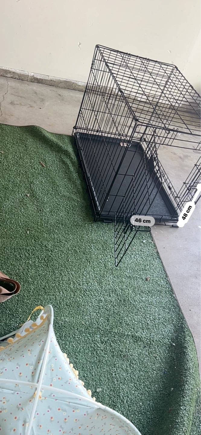 Black Dog Crate with Tray