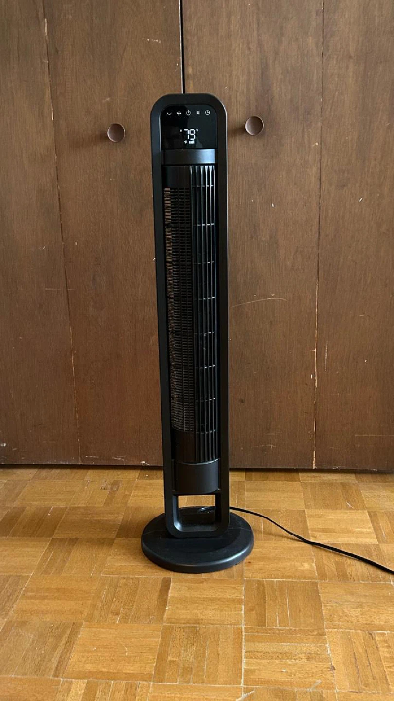 Black Tower Fan