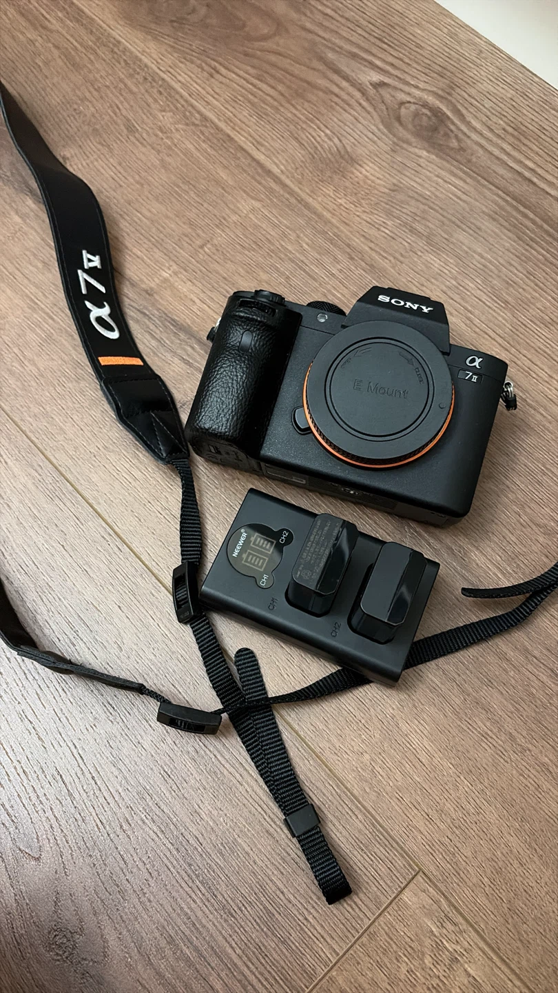 NEED GONE Sony Alpha a7 II Mirrorless Digital Camera