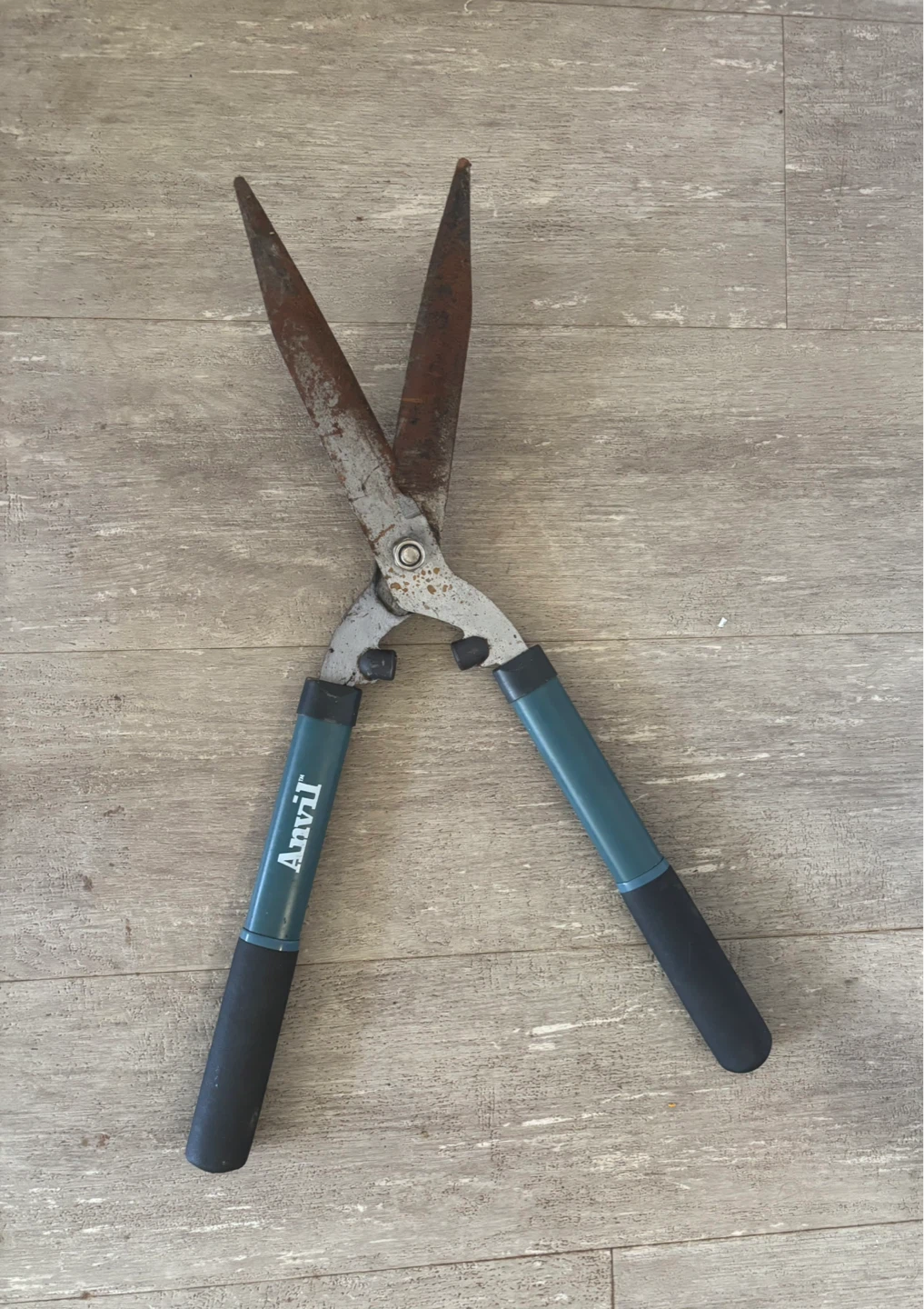 Anvil Hedge Shears