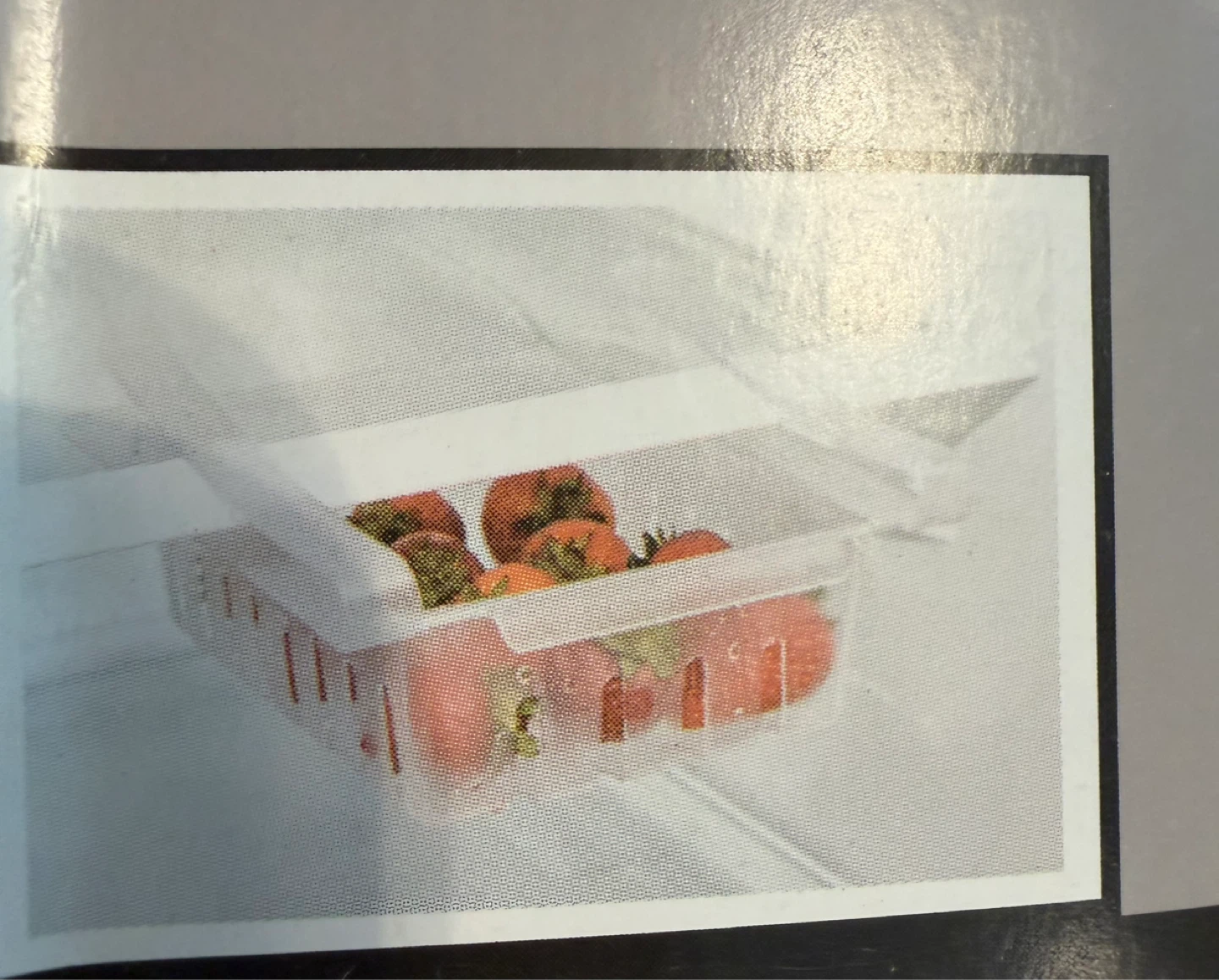 Set of 2 Storage Essentials Clear Clip-on Baskets (Set of 2) - photo 2